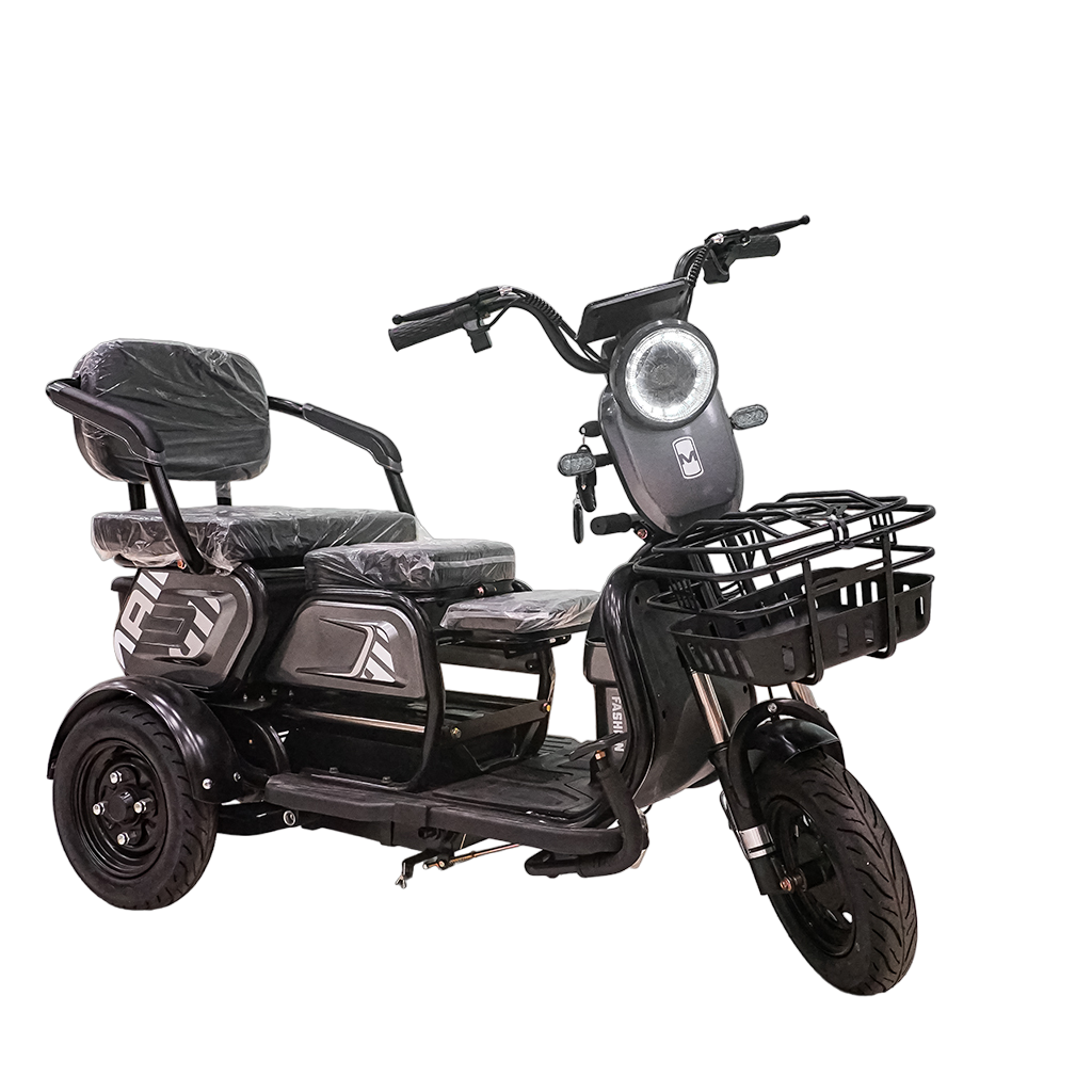 X3B Electric Bike, Max Speed 25km/h, 600W, 40km Range