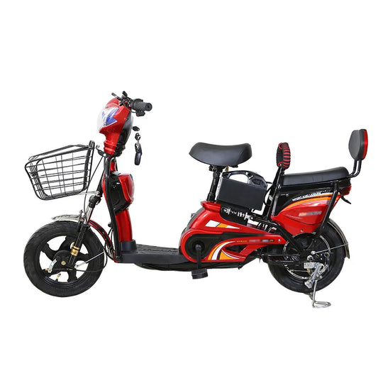 W6 14 Inch Electric Bicycle, Max Assisted Speed 25km/h, 350W, 48V12Ah
