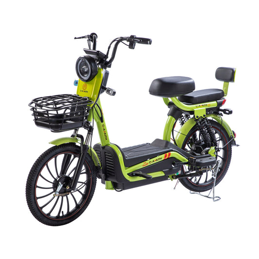 W11 20 Inch Fat Tire Electric Bicycle, Max Assisted Speed 25km/h, 500W, 20Ah