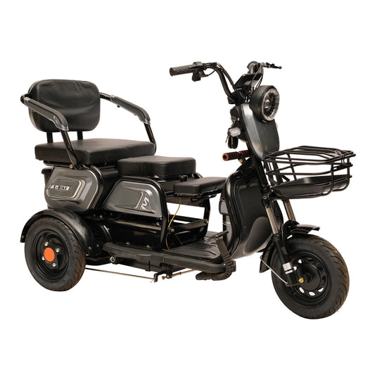X3B Electric Bike, Max Speed 25km/h, 600W, 40km Range
