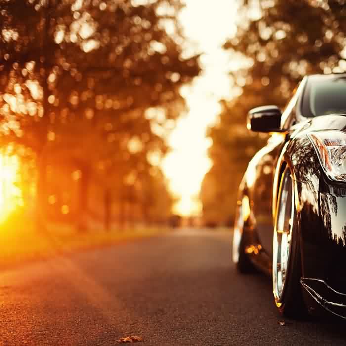 Auto Parts