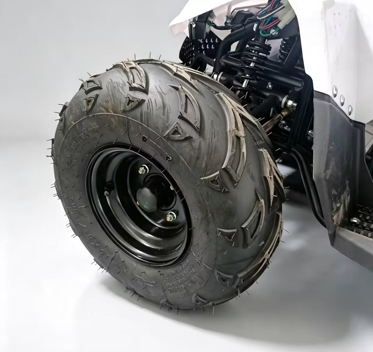Gamma AS10 ATV 70cc  Little Mars Youth Quad 70cc 4-Stroke 60km/h Top Speed Hydraulic Disc Brake Electric Start Kids ATV