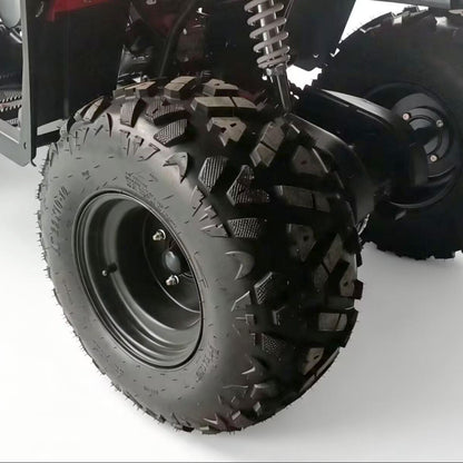 Gamma AS20 ATV 250cc Adult Quad 250cc 4-Stroke 80km/h Top Speed Hydraulic Disc Brake Electric Start