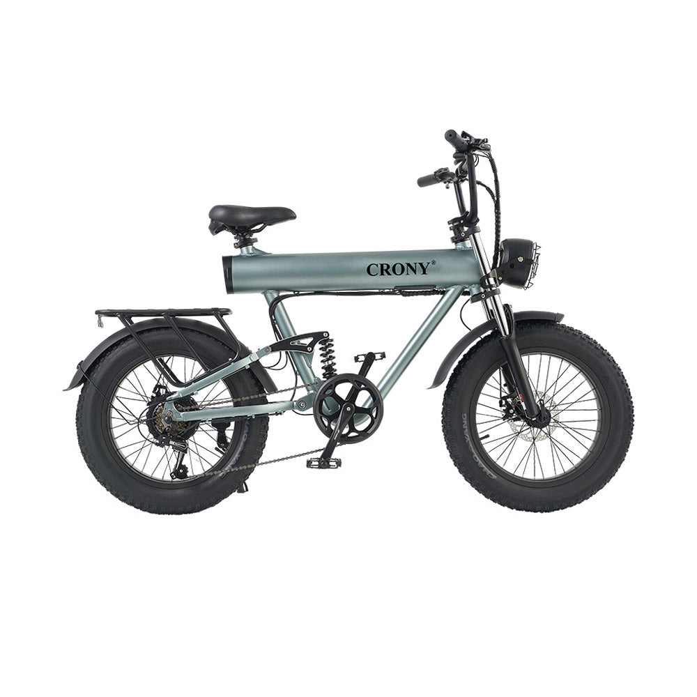K20 Plus Electric Bicycle  Mountain Electric Bike 1000W 10AH Electric Style Bike Outdoor Entertainment Snow