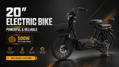 W11 20 Inch Fat Tire Electric Bicycle, Max Assisted Speed 25km/h, 500W, 20Ah