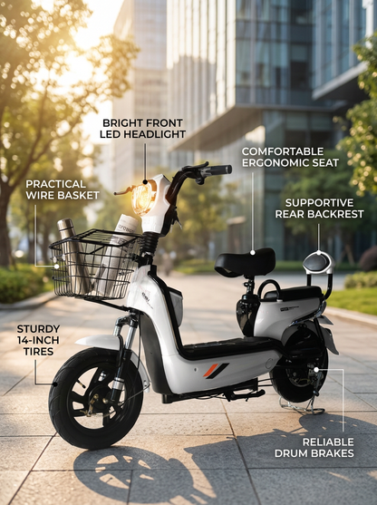 W3 14 Inch Electric Bicycle, Max Speed 25km/h, 350W, 48V Battery