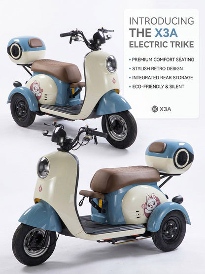X3A Electric tricycle Electric City Bicycle, Max Speed 25km/h, 600W, 48V20Ah Battery