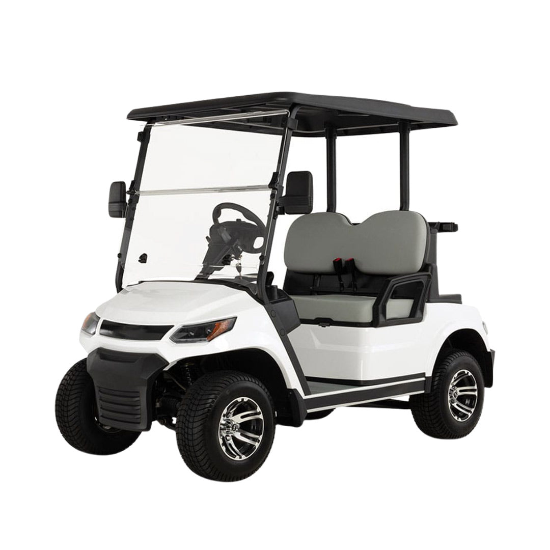 Megawheels LVT Electric Golf Cart Buggy 2-Seater Experience