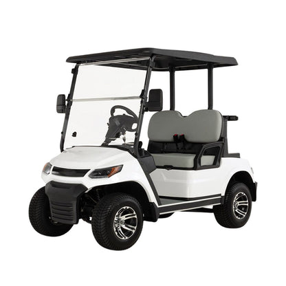 Megawheels LVT Electric Golf Cart Buggy 2-Seater Experience