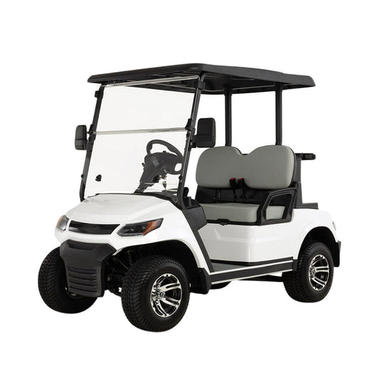 Megawheels LVT Electric Golf Cart Buggy 2-Seater Experience