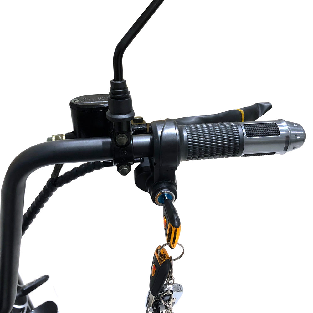 CRONY X3 BIG LI-ion battery+BT+double seat Electric City Bikes Electric Pedal Bike, Top Speed 25kmh, 40km Range, 1500W