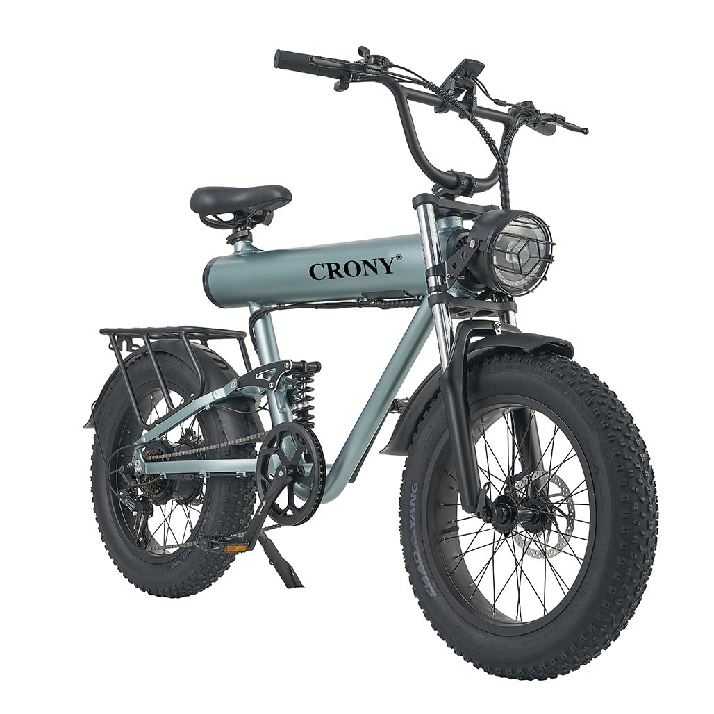 K20 Plus Electric Bicycle  Mountain Electric Bike 1000W 10AH Electric Style Bike Outdoor Entertainment Snow