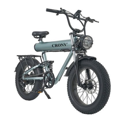 K20 Plus Electric Bicycle  Mountain Electric Bike 1000W 10AH Electric Style Bike Outdoor Entertainment Snow