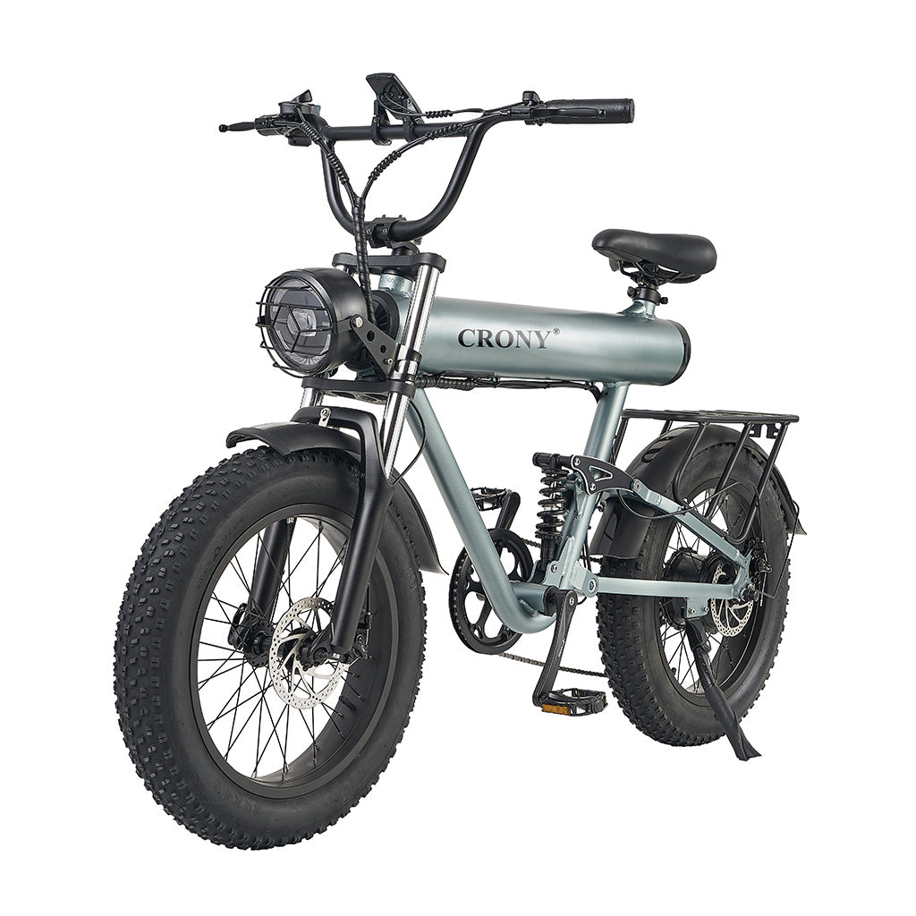 K20 Plus Electric Bicycle  Mountain Electric Bike 1000W 10AH Electric Style Bike Outdoor Entertainment Snow