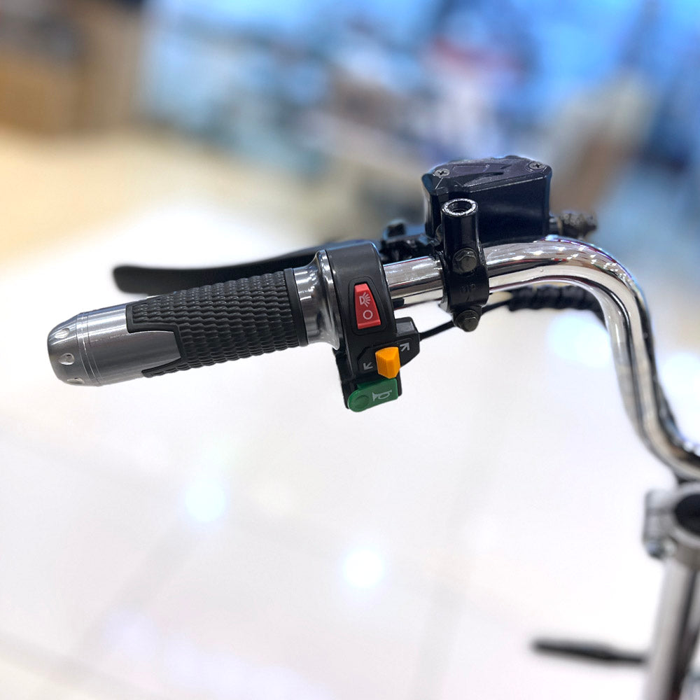 CRONY G-029 Electric City Bike Electric Pedal Bike, Top Speed 25kmh, 55km Range, 3000W Dual Battery