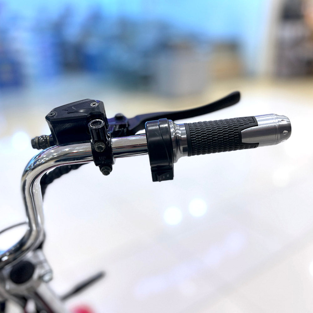 CRONY G-029 Electric City Bike Electric Pedal Bike, Top Speed 25kmh, 55km Range, 3000W Dual Battery