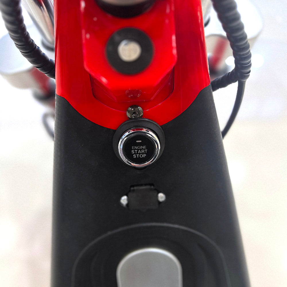 CRONY G-029 Electric City Bike Electric Pedal Bike, Top Speed 25kmh, 55km Range, 3000W Dual Battery
