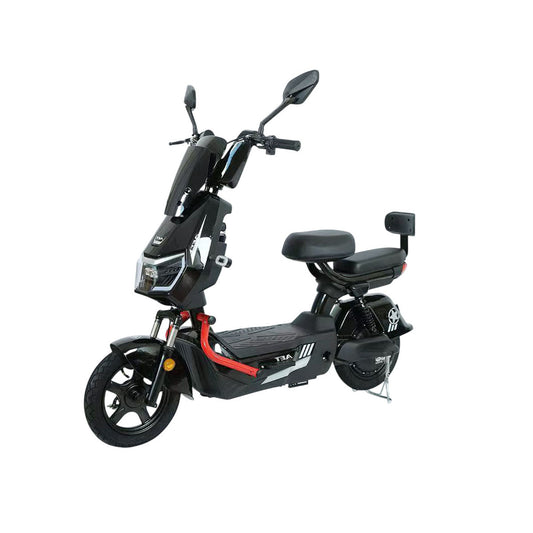 W12 Great Wall Electric Mobility Electric Pedal Bike, Top Speed 25kmh, 30km Range, 500W
