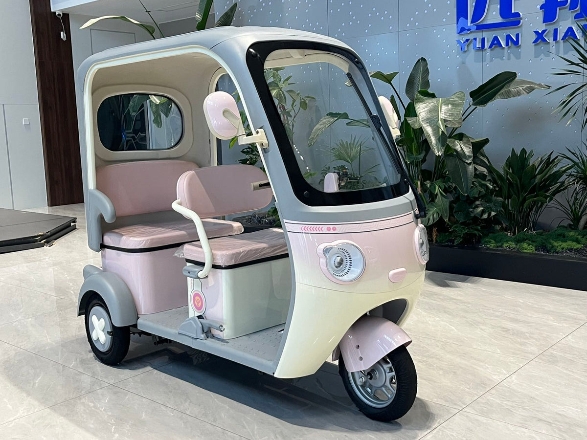 L1 Katie Leisure Electric Tricycle 800W 48V/60V 225kg Rated Load 25km/h
