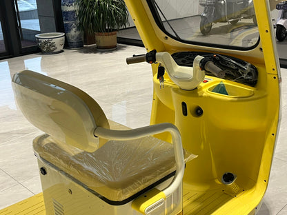L8 Langxing Leisure Electric Tricycle 800W 48V/60V Front 600mm Rear 900mm Seat 225kg Rated Load