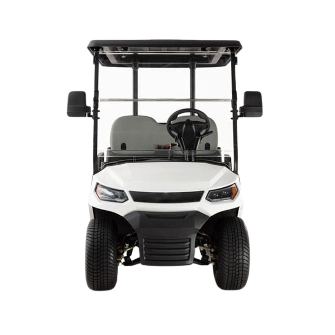 Megawheels LVT Electric Golf Cart Buggy 2-Seater Experience