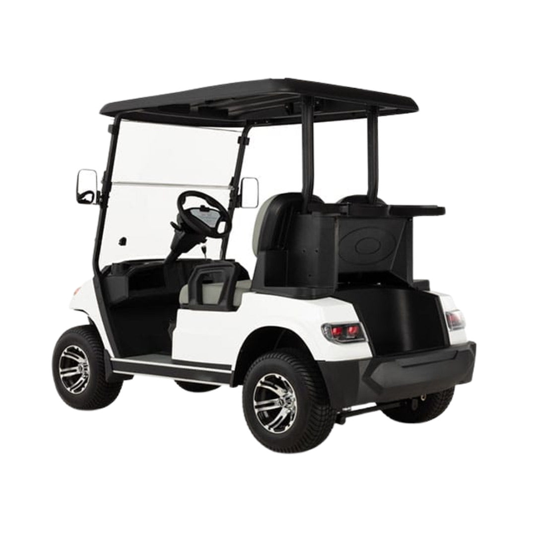 Megawheels LVT Electric Golf Cart Buggy 2-Seater Experience