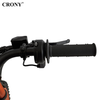 48V 24A High configuration E-Trail Bike Electric Pedal Bike Electric Pedal Bike, Top Speed 25kmh, 50km Range, 2500W