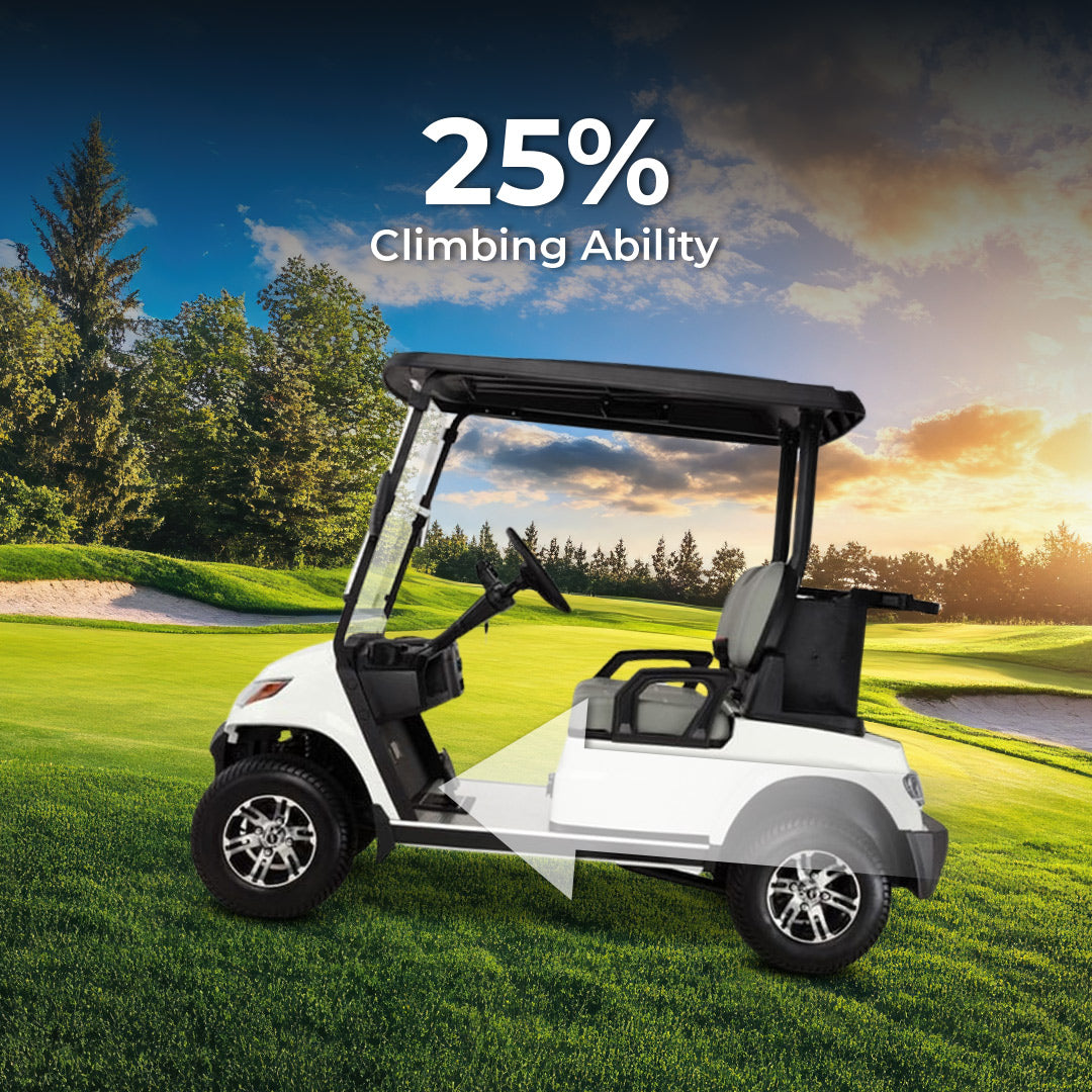 Megawheels LVT Electric Golf Cart Buggy 2-Seater Experience