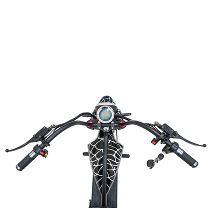 X1 Kick Harley-style motorcycle, Top Speed 25kmh, 25km Range, 1200W