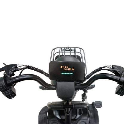 X3B Electric tricycle, Max Speed 25km/h, 600W, 40km Range