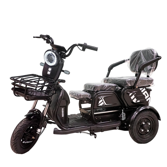 X3B Electric Bike, Max Speed 25km/h, 600W, 40km Range