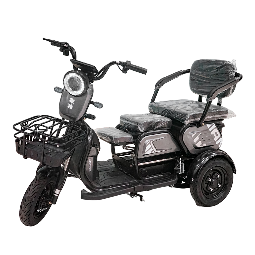 X3B Electric tricycle, Max Speed 25km/h, 600W, 40km Range