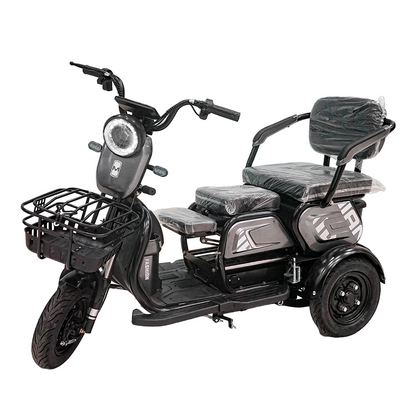 X3B Electric tricycle, Max Speed 25km/h, 600W, 40km Range