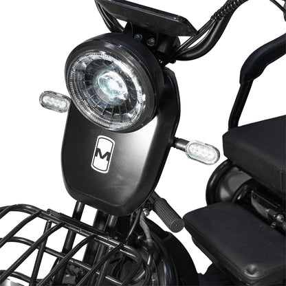 X3B Electric tricycle, Max Speed 25km/h, 600W, 40km Range