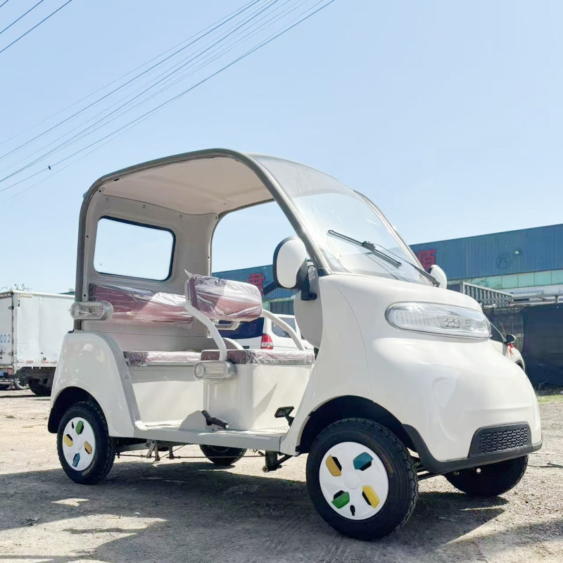Leisure 4-Wheel Electric Car 800W Dual 18-Tube Controller 3-4 Seater Canopy 50-70km Range