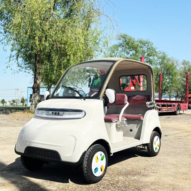 Leisure 4-Wheel Electric Car 800W Dual 18-Tube Controller 3-4 Seater Canopy 50-70km Range