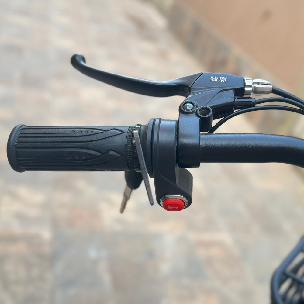 22inch The fire spirit bird Electric City Bike Electric Pedal Bike, Top Speed 25kmh, 35km Range, 350W Electric bicycle