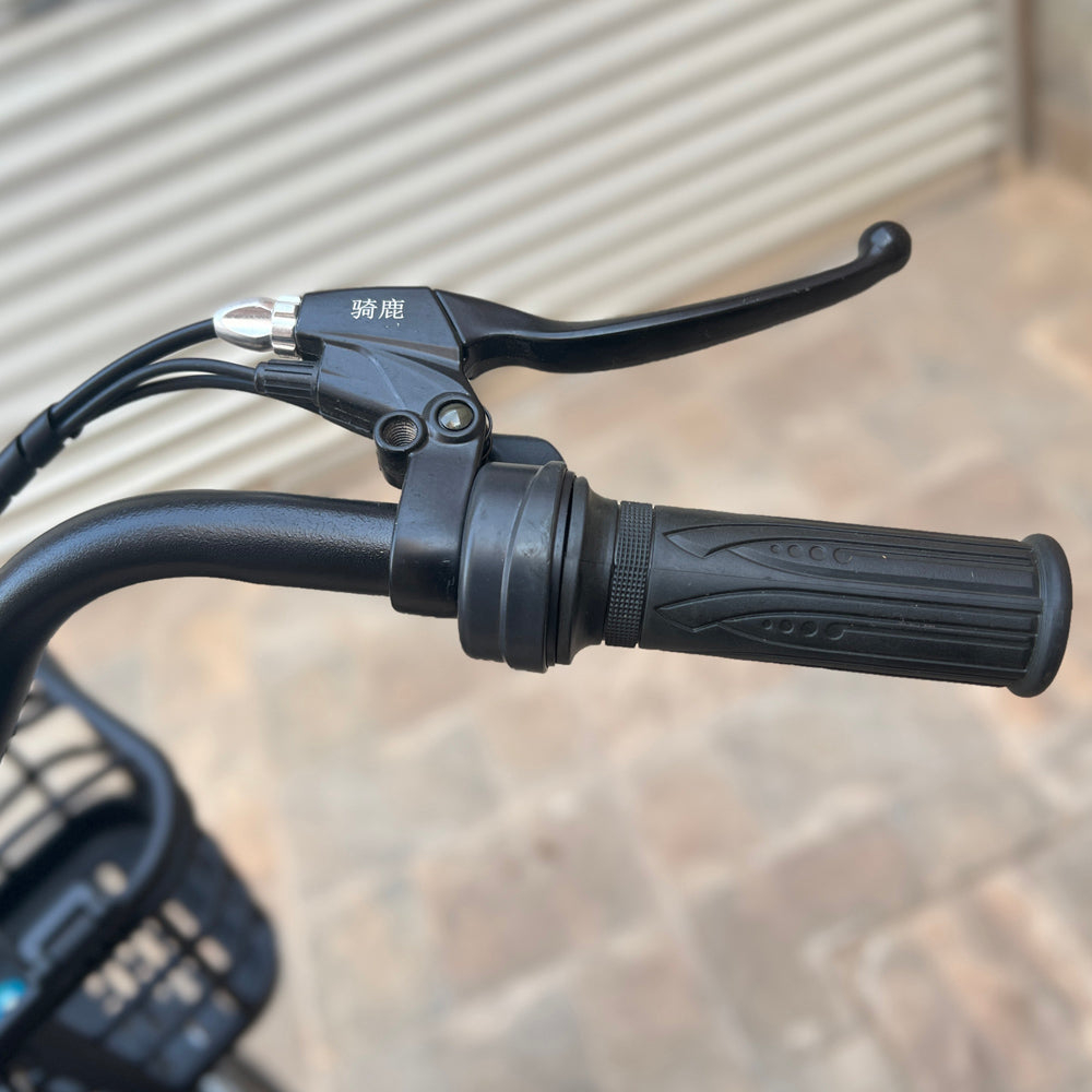 22inch The fire spirit bird Electric City Bike Electric Pedal Bike, Top Speed 25kmh, 35km Range, 350W Electric bicycle
