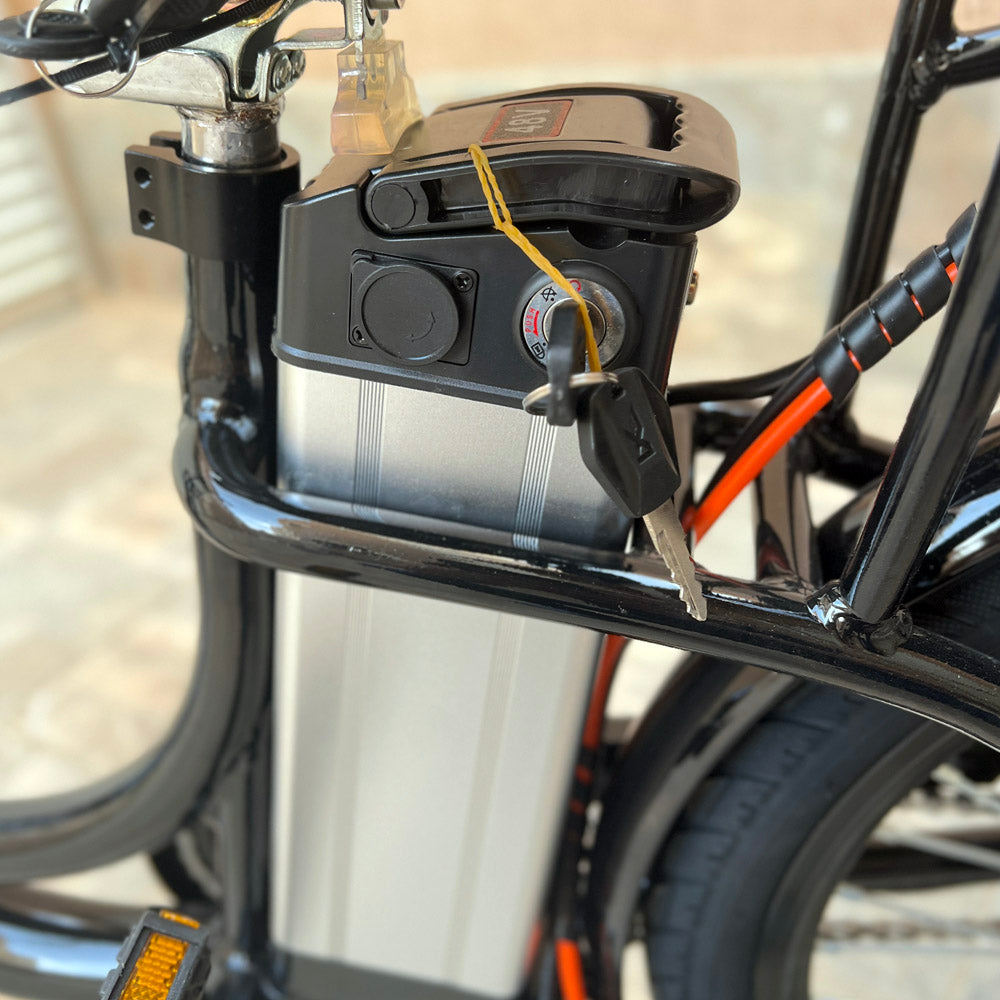 22inch The fire spirit bird Electric City Bike Electric Pedal Bike, Top Speed 25kmh, 35km Range, 350W Electric bicycle