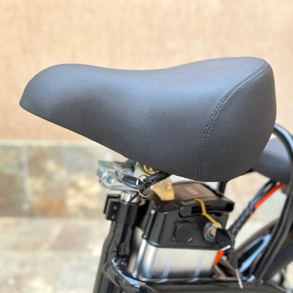 22inch The fire spirit bird Electric City Bike Electric Pedal Bike, Top Speed 25kmh, 35km Range, 350W Electric bicycle