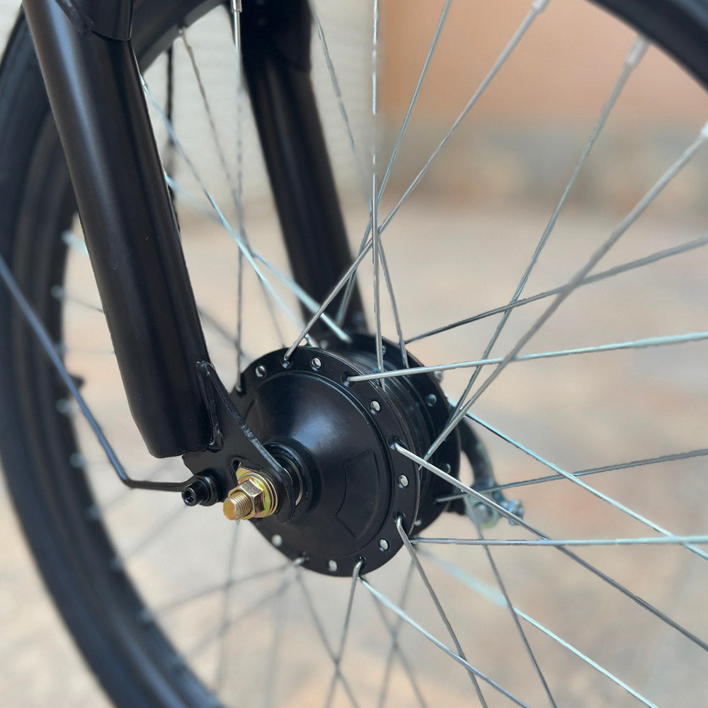 22inch The fire spirit bird Electric City Bike Electric Pedal Bike, Top Speed 25kmh, 35km Range, 350W Electric bicycle