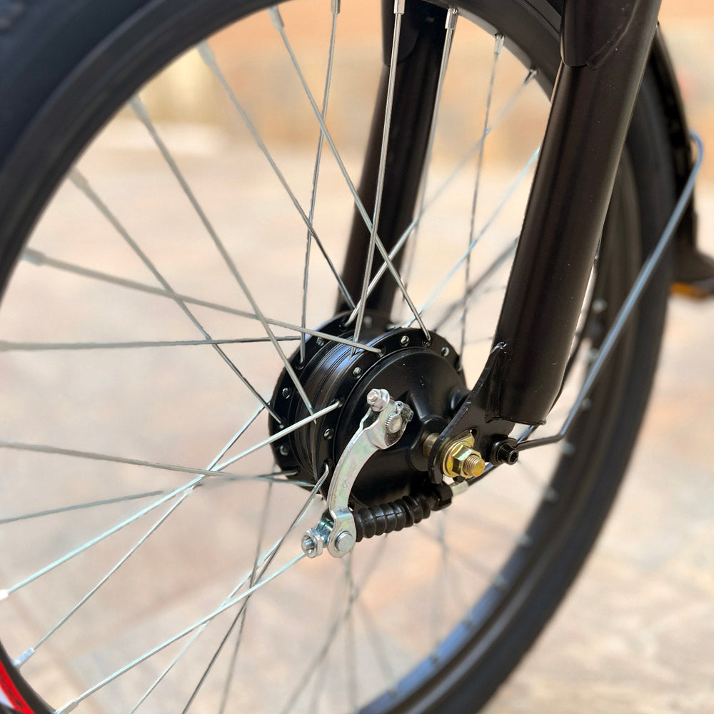 22inch The fire spirit bird Electric City Bike Electric Pedal Bike, Top Speed 25kmh, 35km Range, 350W Electric bicycle