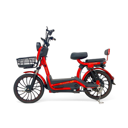 W11 20 Inch Fat Tire Electric Bicycle, Max Assisted Speed 25km/h, 500W, 20Ah