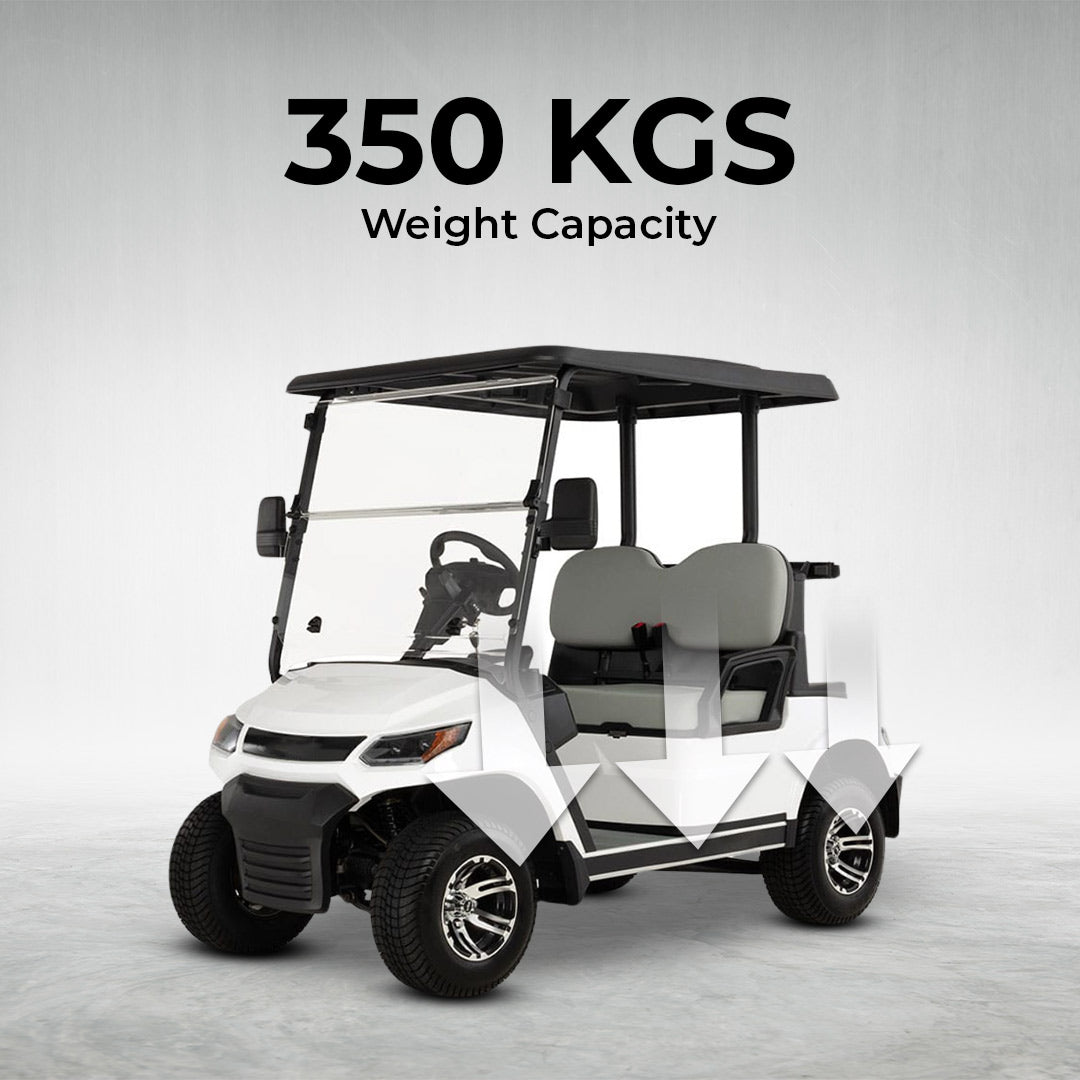 Megawheels LVT Electric Golf Cart Buggy 2-Seater Experience