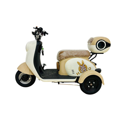X3A Electric tricycle Electric City Bicycle, Max Speed 25km/h, 600W, 48V20Ah Battery