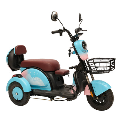 X3A Electric tricycle Mobility Vehicle Max Speed 25km/h, 40km Range, 600W Motor