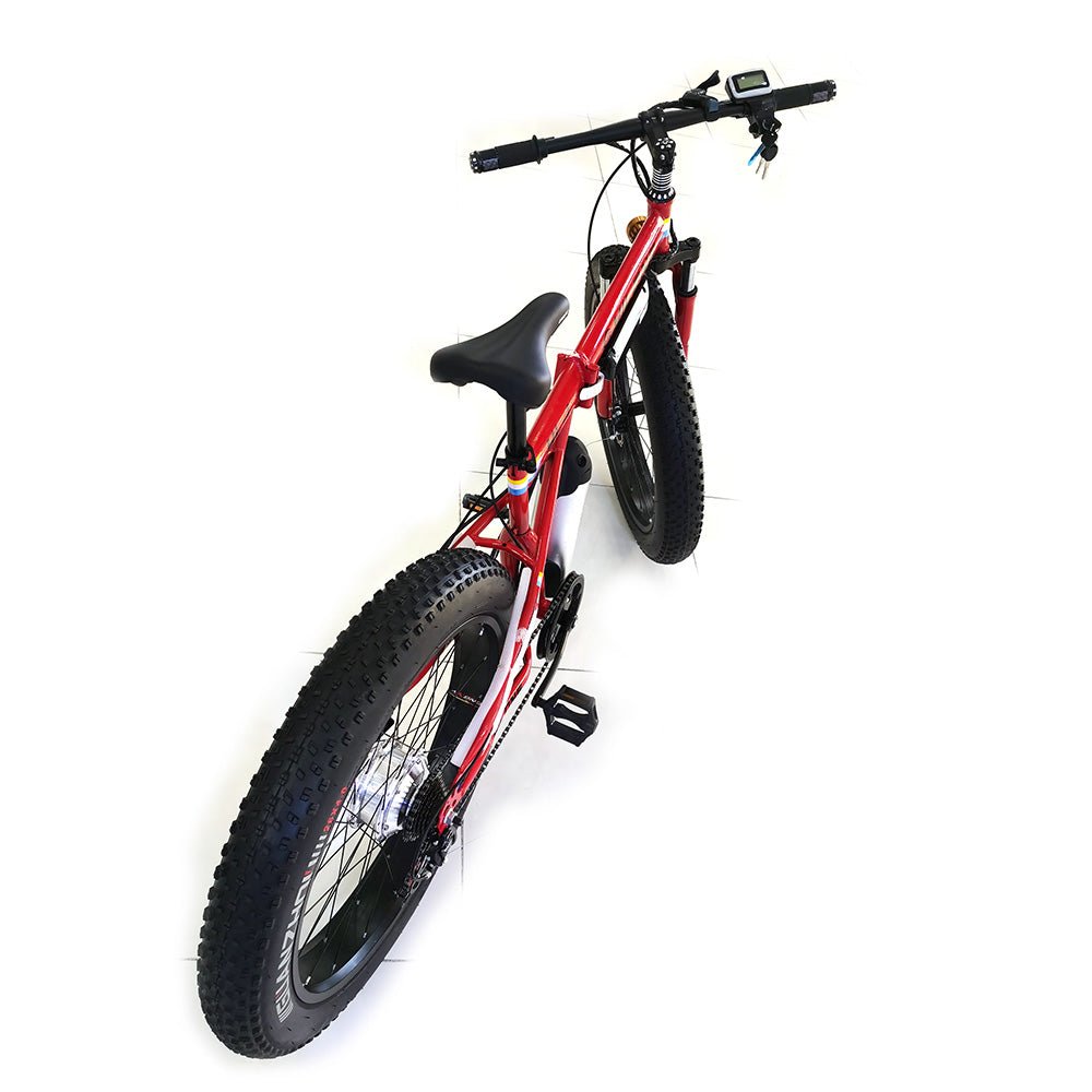 FB-EM017 FB-EM028 26inch Fold Electric Bike 36V Lithium Battery Powerful Sand Ebike