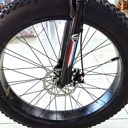 FB-EM017 FB-EM028 26inch Fold Electric Bike 36V Lithium Battery Powerful Sand Ebike