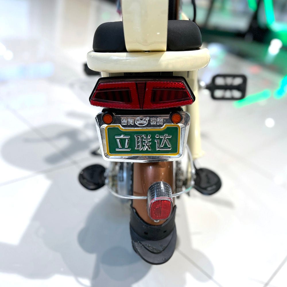T8 Electric Delivery express Bicycle  electric bike Electric bicycle