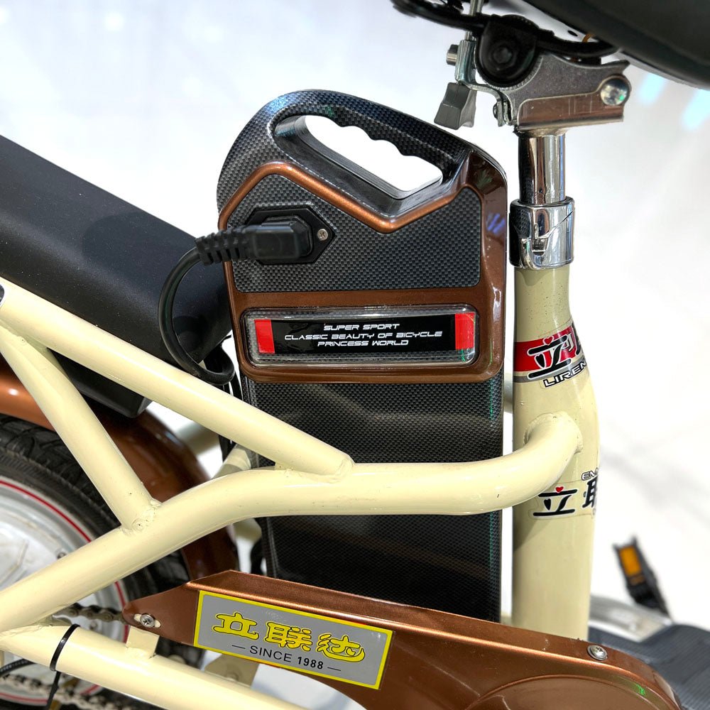 T8 Electric Delivery express Bicycle  electric bike Electric bicycle